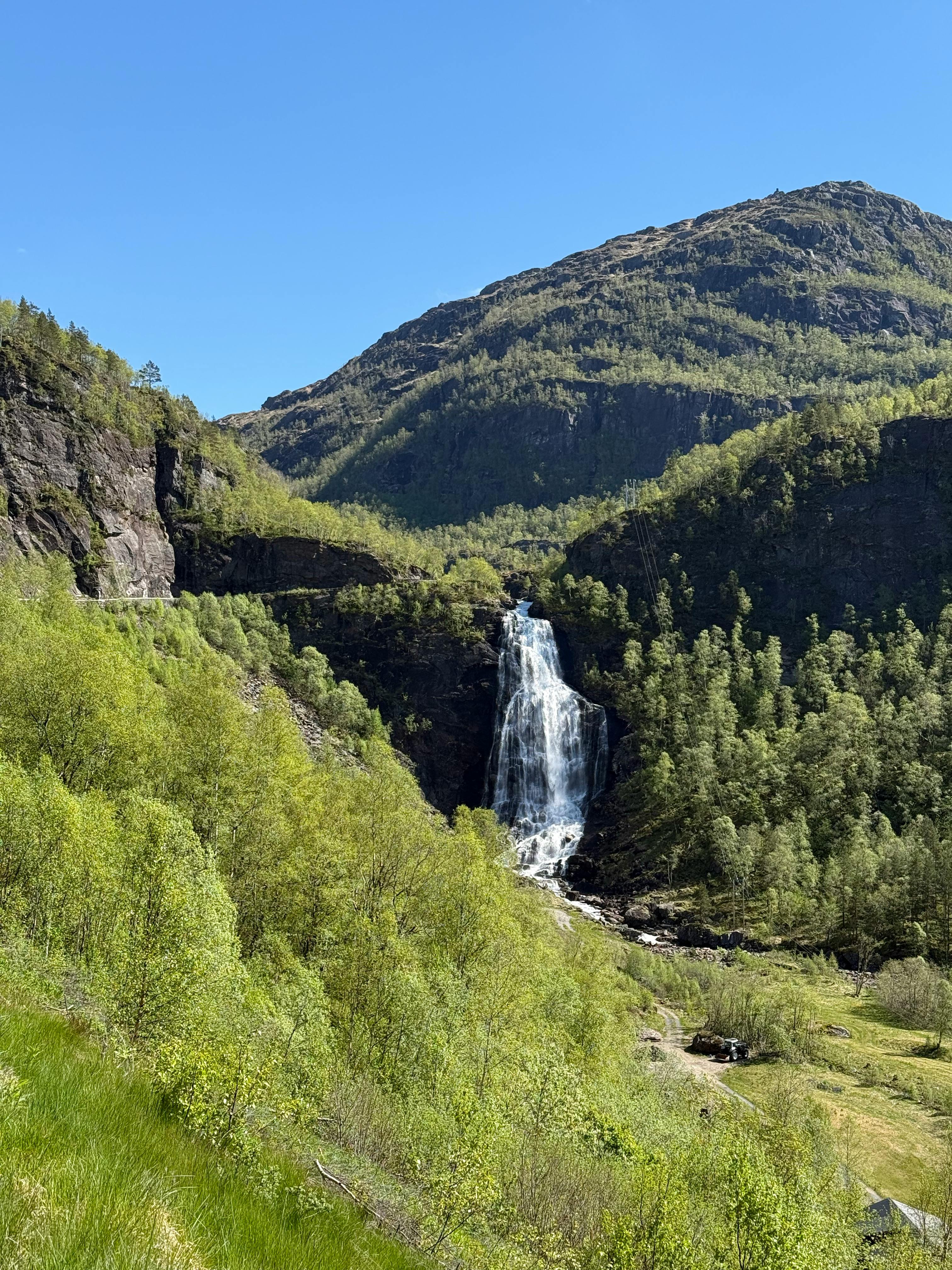 Conservation Research